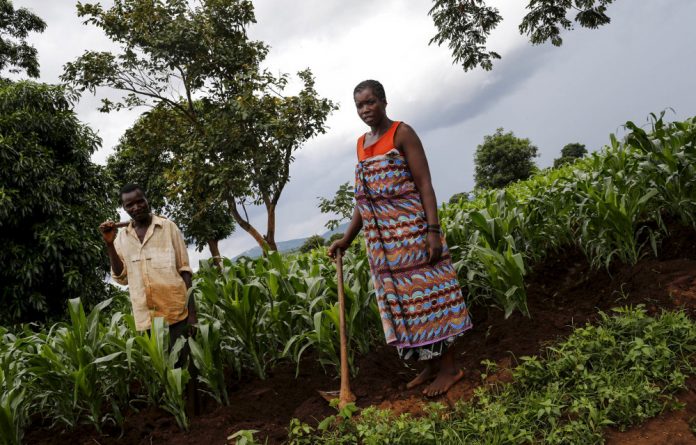 Irrigation farming in a Malawian village has helped ward off malnutrition and starvation
