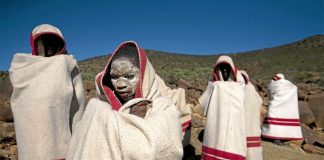 Eastern Cape royals are campaigning to use medical circumcision in traditional rituals.