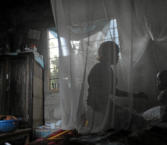Shield: A Tanzanian woman and her child use a mosquito net as a preventative measure against malaria.