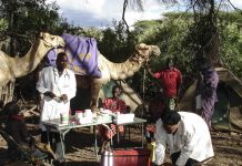 Nurse Pauline dips into a medicines box. Pauline and her team travel hundreds of kilometres by camel to provide health services to Kenya's most remote villages