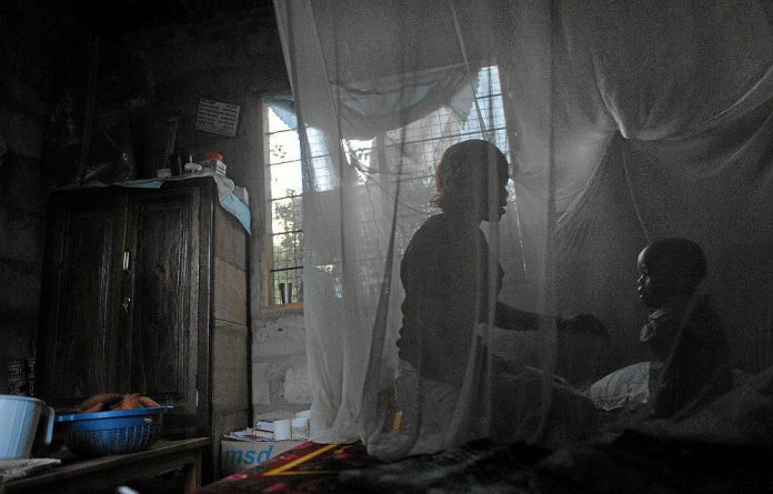 Comment: Our leaders must keep their word Protection needed: Malaria kills more than a million poeple in the world every year - mostly children and preganant women