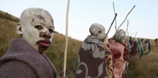 35 initiates in Mpumalanga and Limpopo died last month in botched traditional circumcisions.