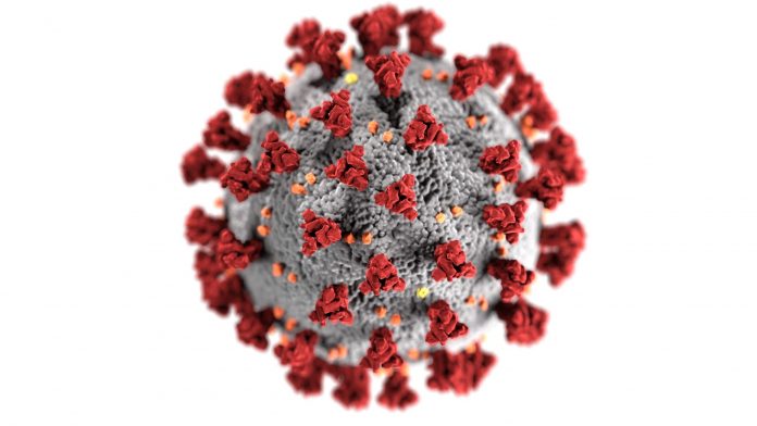 Coronavirus illustration by Center for Disease Control and Prevention (CDC)